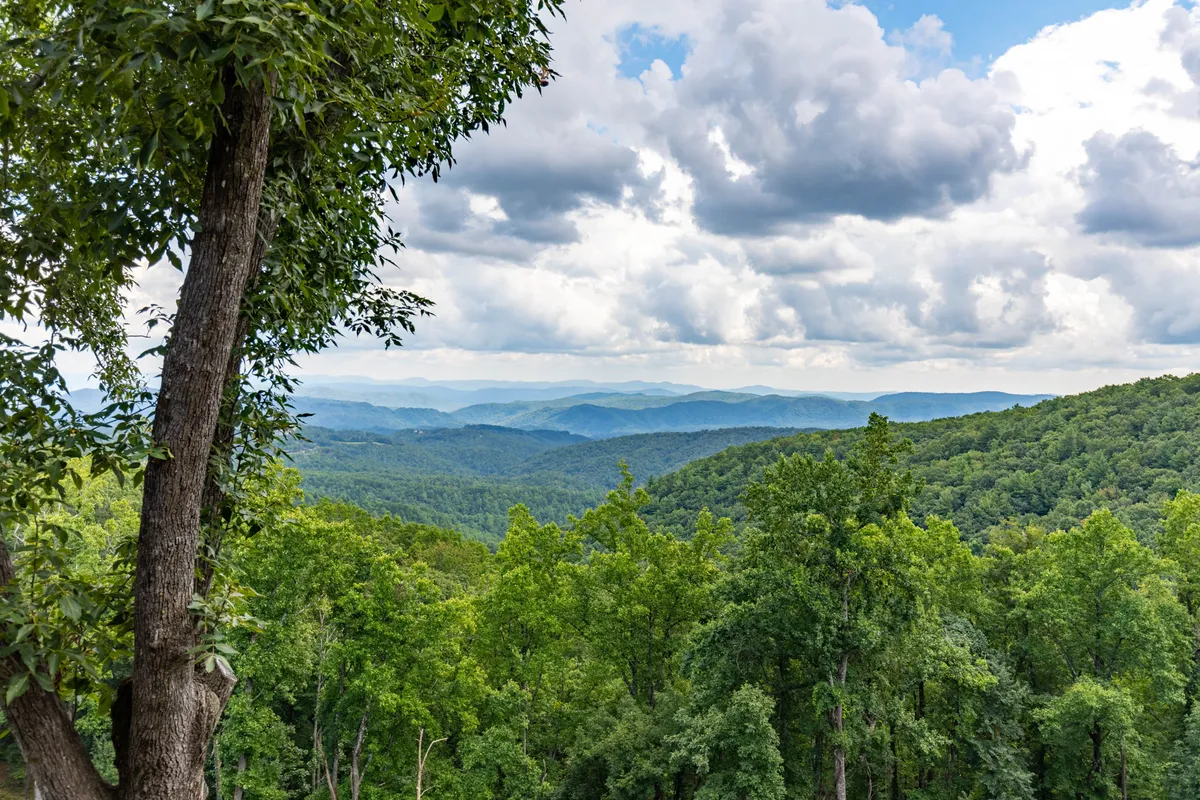 This image presents a sweeping view of the Blue Ridge Mountains, with lush green trees in the foreground and distant peaks under a cloudy sky. The tranquil mood captures hikers, birdwatchers, or nature photographers engaging with the natural landscape, hinting at the extensive trail networks and outdoor experiences offered.